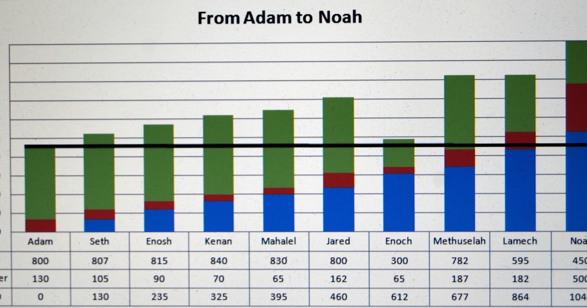 Read Your Bible. From Adam to Noah